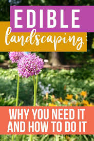 The Ultimate Guide To Edible Landscaping Must Read Edible Landscaping Ideas Edible Landscaping Landscaping Plants Florida Landscaping