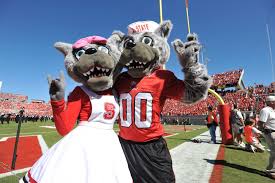 Previously only the football team was called the 1981 wolf mascots named mr. Carter Finley Stadium North Carolina State Wolfpack Stadium Journey