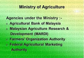 Some of the other functions of ministry of agriculture malaysia are conducting agricultural. Third Country Training On Agricultural Finance February 2004 Hanoi Vietnam Current Situation Of Agriculture In Malaysia Prepared By Ng Tak Wa Ppt Download