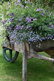 Le Temps Qui Passe Dans Le Jardin D Eugenie Victoriasfarm Rhs Rosemoor Jardins Champetres Deco Jardin Idees Jardin
