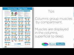 Trigger Point Chart Head Neck Column Tips Youtube