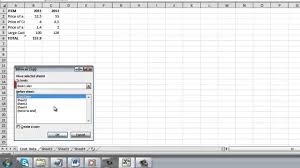 how to copy excel 2010 sheet to another sheet