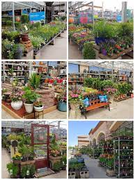 Lots Of Color Ready For A Great Weekend Vegetable Garden Planner Garden Center Displays Lowe S Garden Center