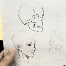 Maybe you would like to learn more about one of these? Steaming Hot Shit Using Skull Studies Helps With Face Angles Do Em