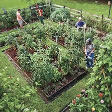 Edible Landscaping Kitchen Garden Jardin Potager Bauerngarten Kokstradgard Plants Raised Garden Lawn And Garden