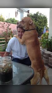How does a silver lake hospital (ltach) differ from a general hospital or a nursing home? Affordable Animal Hospital Los Angeles Home Facebook