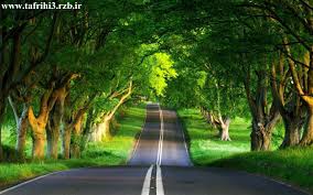 Image result for ‫طبیعت زیبای لاله زار‬‎