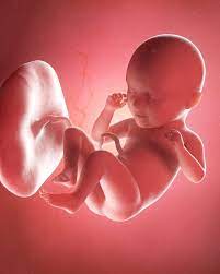 Semana 35 Del Embarazo Sintomas Desarrollo Del Bebe Y Recomendaciones Eres Mama