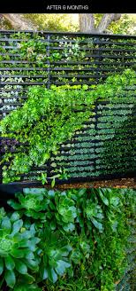 The design we saw at this year's icff consists The Felted Fox Living Wall Diy Vertical Garden Living Wall Diy Living Wall