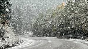 ❄️ Bolu'ya mevsimin ilk karı yağdı! Bolu'da hava sıcaklıklarının d&uuml;şmesiyle  birlikte Yedig&ouml;ller Milli Parkı yolu &uuml;zerindeki y&uuml;ksek kesimlerde mevsimin  ilk kar yağışı etkili oldu. 🌨️ Lapa lapa yağan
