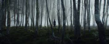 WITHOUT NAME: Man's Troubled Relationship With Mother Earth & Women