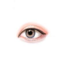 Your korean eyes stock images are ready. Korean Eye ê»Œì •ë‹¨ë¬´ì§€ Illustrations Art Street