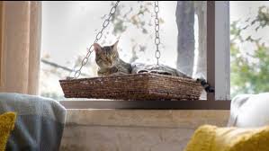 I made this hanging window basket cat perch because i wanted something that looked nice in my room that my cat would also cat solarium, cat window box, cat perch, cat window door, outdoor cat window perch, patio, plexiglas, cat veranda window house. Diy Window Seat Basket For Cat Hgtv