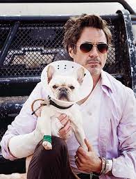 Pin On The Best Of Rdjr Iron Man