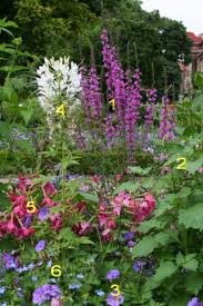 Conseils de jardinage d'hubert le jardinier. Massif De Fleurs Vivaces Sans Entretien Les Conseils De Jardin De Vavou