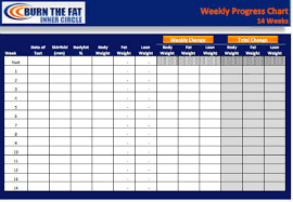 The Burn The Fat 98 Day Progress Chart