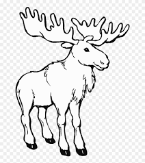 This arctic coloring pages are fun way to teach. Caribou Animals Printable Pages Drawings And Canada Day Coloring Pages Clipart 381272 Pinclipart