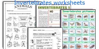 This worksheet sets pupils four tasks based on how both vertebrates and invertebrates some of the worksheets displayed are name vertebrates. Invertebrates Worksheets