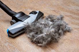 Annoyed about pet hair or human long hair? 5 Of The Best Vacuums For Long Hair Reviews And Buying Guide