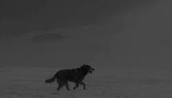 Don T Bite The Hand That Feeds You Gif Https Encrypted Tbn0 Gstatic Com Images Q Tbn 3aand9gctfur62qazfcv7vtrkdctsud Wcbzhbgts2jg Usqp Cau