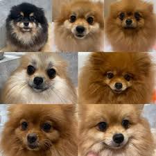 Jen Chan (@jenchanpuc) · Instagram 照片和视频