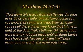 Matthew 24:32-35 | Matthew 24, Scripture Quotes, Trust God