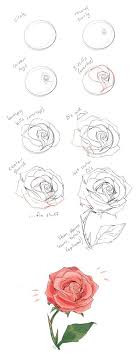 Resultat De Recherche D Images Pour Apprendre Dessine Rose Dessin Fleur Dessin Rose Comment Peindre Des Roses