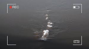 Read 6 reviews from the world's largest community for readers. American Loch Ness Monster Video Going Viral Youtube