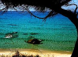 • the san teodoro beach of cala brandinchi has earned the nickname 'little tahiti' as it resembles and exotic tahitian. Sardinia Italy Beaches Cagliari In Sardinia Italy Fabulous Beach In Sardinia Images Italy Beaches Cagliari Sardinia Italy