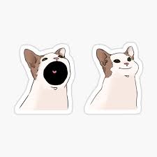 And best of all, you'll find our games on. Cat Gif Meme Stickers Redbubble