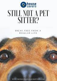 Set Up A Profile On Housecarers And Start Your House Sitting Journey Today How To Be A Pet Sitter How To Pet Sit Pet Senior Dog Dog Yoga Senior Dogs Care