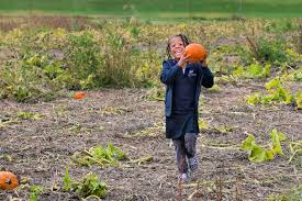 Things To Do In Philly With Kids This Weekend And Beyond Boo At The Zoo Festivals Spooky Fun Mommy Poppins In 2020 Kids Things To Do Things To Do Fall Festival