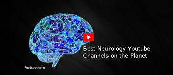 Among its areas of expertise are sleep disorders, parkinson's disease, stroke, & epilepsy. Top 30 Neurology Youtube Channels For Neurologists Laptrinhx