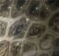 Verde Tortuga Quartzite Polished Quartzite