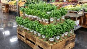 Does sprouts sell cut flowers. 23 My Floral Favs From My Department Sprouts Farmers Market Ideas Sprouts Farmers Market Bloom Floral