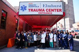 Image result for Trauma Center Level