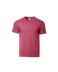 1717 Comfort Colors Adult T Shirt