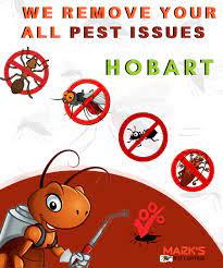Use the best pest control companies to get rid of unwanted bugs, rodents and reptiles, both inside and outside your home or business. Pest Control Hobart Same Day Pest Inspection Services In Hobart