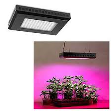 Grow Lights And Plant Lights For Indoor Lamps Plus