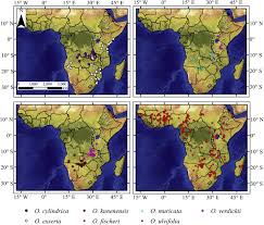 Image result for Ottelia kunenensis