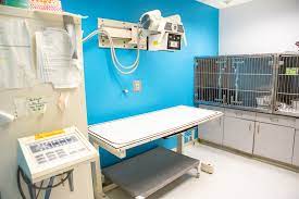 They perform surgeries as well as carry all the medications your dog or cat needs. Take A Tour Of Our Sugar Land Animal Hospital