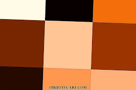 Mengubah warna rambut cokelat gelap menjadi pirang mengharuskan penggunaan bahan. Shades Of Brown Dari Cahaya Ke Coklat Gelap Kombinasi Warna Warna Dalaman