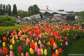 Otrzymuj najnowsze oferty pracy na pocztę. Madurodam Holandia W Pigulce Nie Tylko Dla Dzieci Gdzie By Tu Dalej