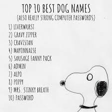 Black And White Names For Dogs Top 10 Best Dog Names Best Dog Names Dog Names Names