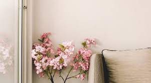 room for rent toronto 400 affordable options for you tirbnb com