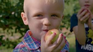 Media — Evan Dillon Band