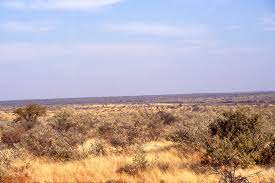 Landscape african africa nature safari wildlife elephant animal wild mammal 131 free images of african landscape / 2 ‹ › File African Landscape Jpg Wikipedia