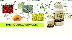 Biogreen international sdn bhd is a disposable products biodegradable malaysia supplier and distributor located in the heart of kuala lumpur biogreen international and their business partners contribute actively in the environmental concern programs. Natural Energyz Agriculture Home Facebook