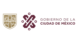 La secretaría de salud publicó en el. Secretaria De Salud De La Ciudad De Mexico