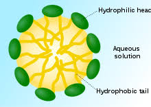 Surfactant Wikipedia